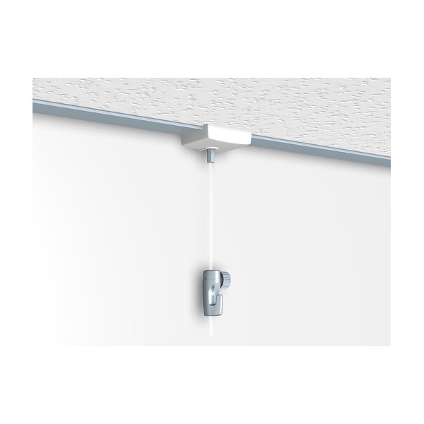 Newly jeu faux plafond 5 kg perlon 200 cm [product.brand] 3 - Cimaise Tableau 