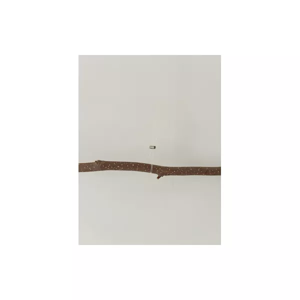 Loop Maker : creation de boucle avec le cable perlon ARTI TEQ 13 - Cimaise Tableau 