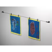 Kit Fil de fer Artiteq 300 cm ARTI TEQ 4 - Cimaise Tableau