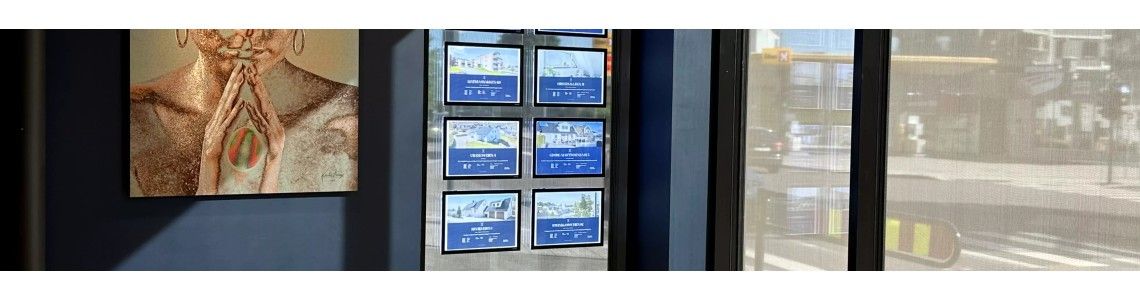 Camera system for VITRINE