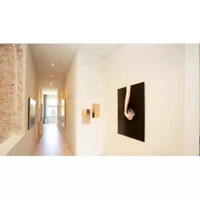 Équiper une galerie d'art professionnelle : quel système de cimaise choisir ?